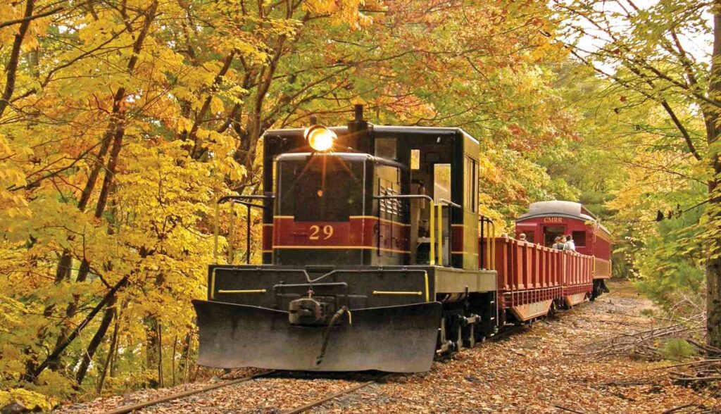 Foliage Train Rides